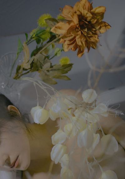 欧美黄页网站大全免费_DVD手机在线看