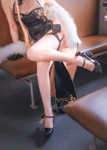 欧美柔术大师教学_DVD全集免费播放
